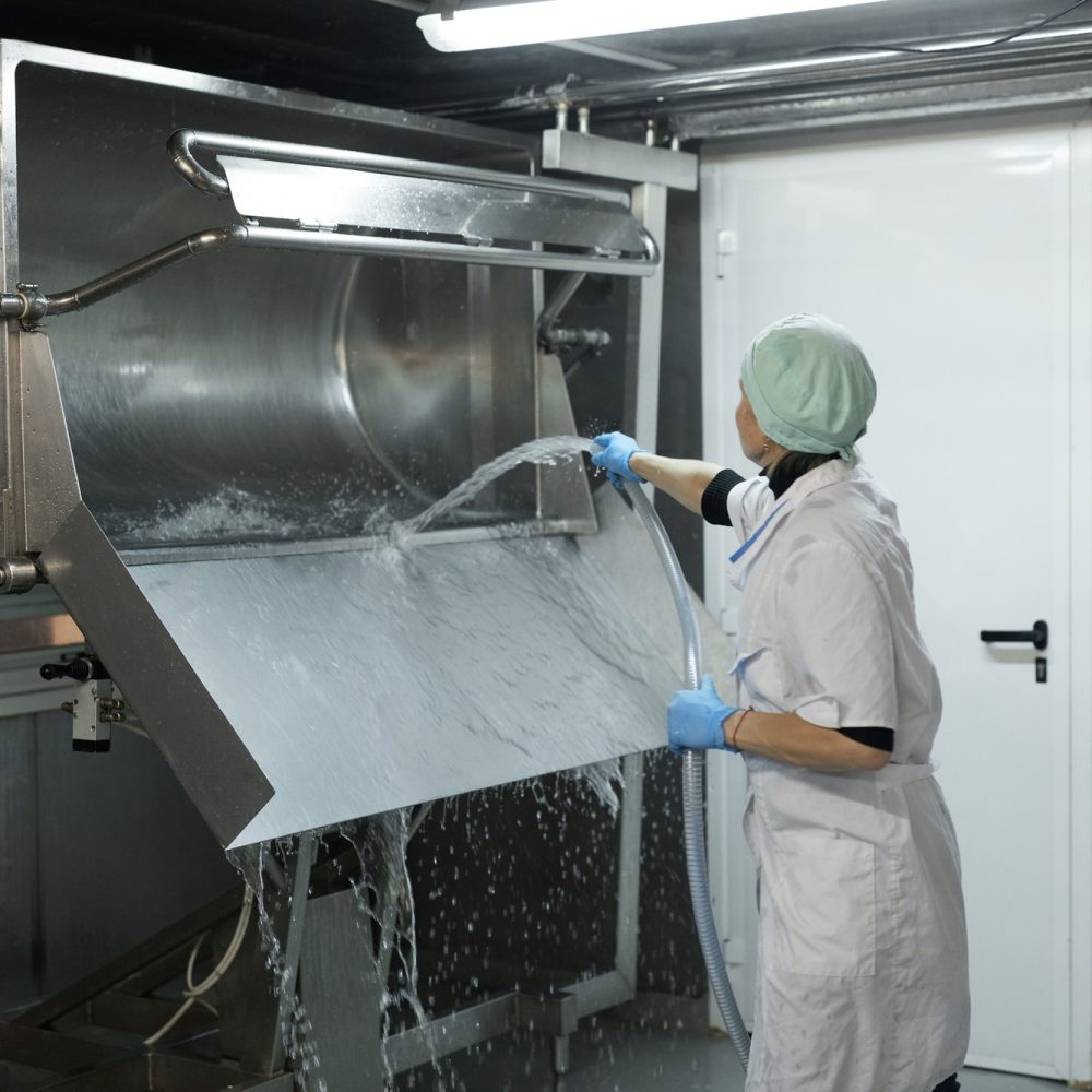 Reiniging voedselproductie